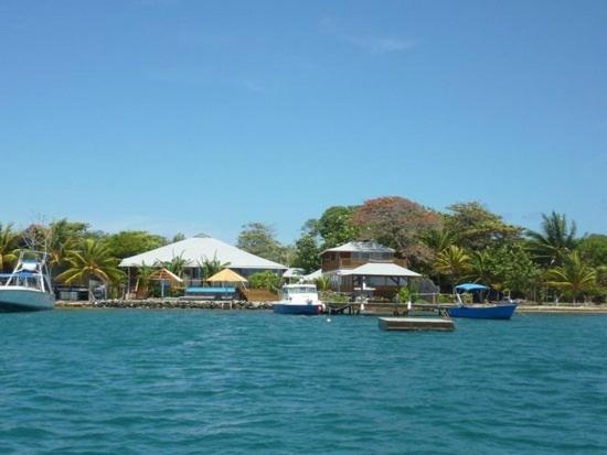 Wikkid Resort Dixon Cove Exterior photo